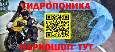 прущие грибы Малгобек