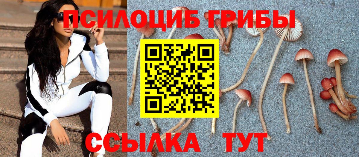 Домодедово  Псилоцибиновые грибы Magic Shrooms  Вход с VPN  Галлюциногенные грибы Cubensis 